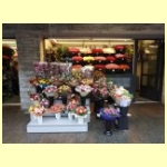 DSCN5571.JPG